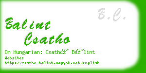 balint csatho business card